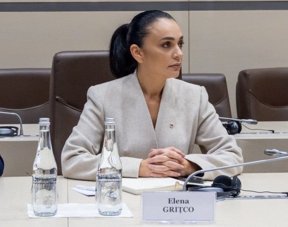 Elena Grițco: Partidul Nostru este gata să se pronunțe pe marginea reformei administrației locale, dar guvernare ține intențiile în secret